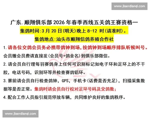 查询鸽子比赛成绩及其排名数据的方法与技巧解析